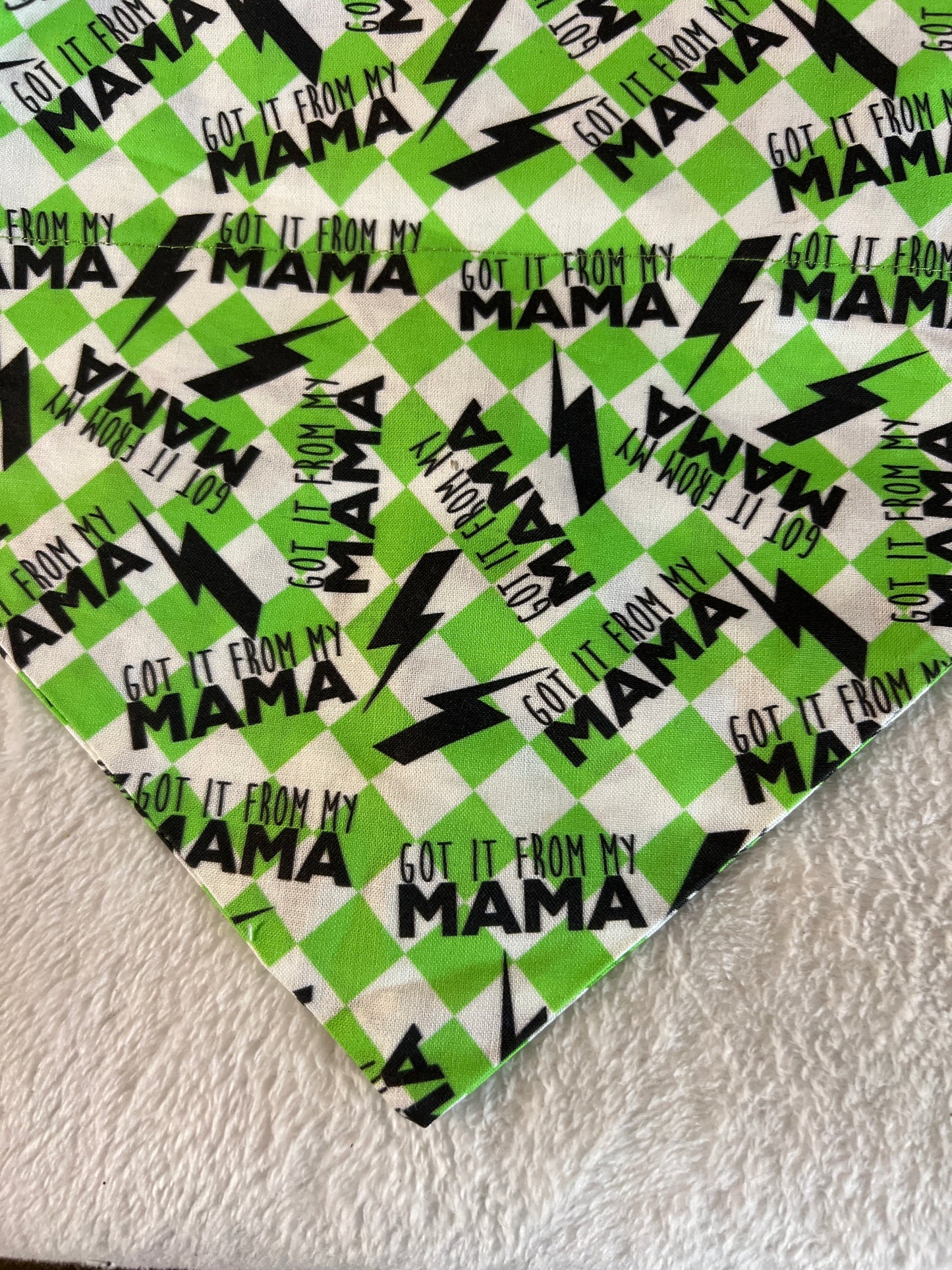 Got It From My Mama Bandana