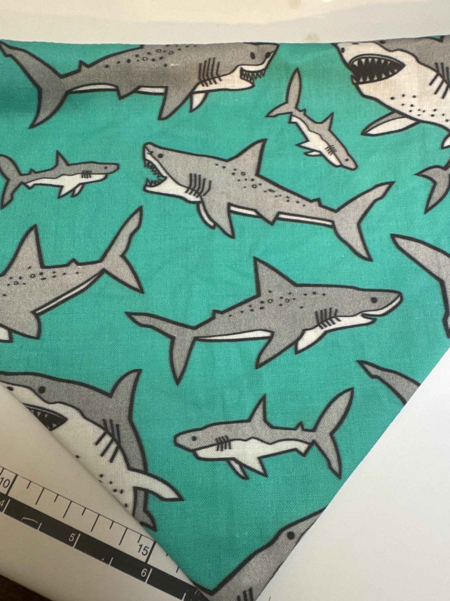 Shark Bandana