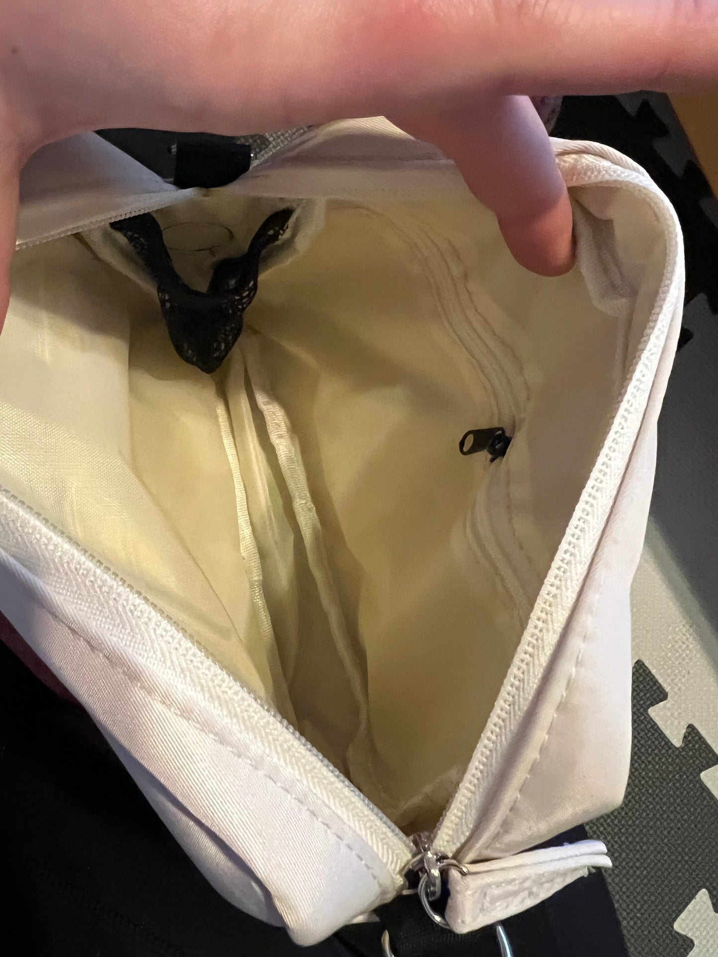 Dog Walking Bag