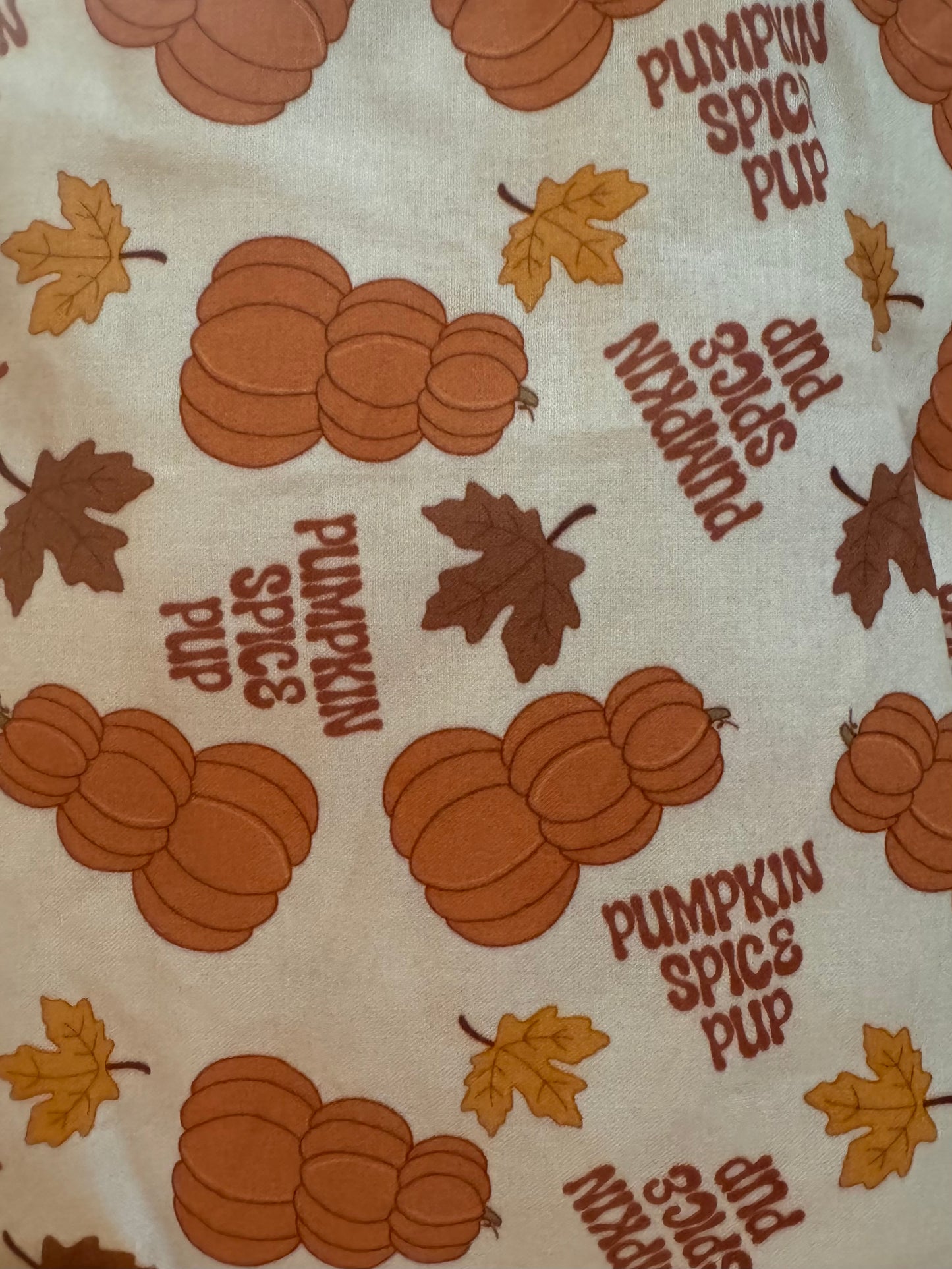 PREORDER Pupkin Spice Pup Bandana