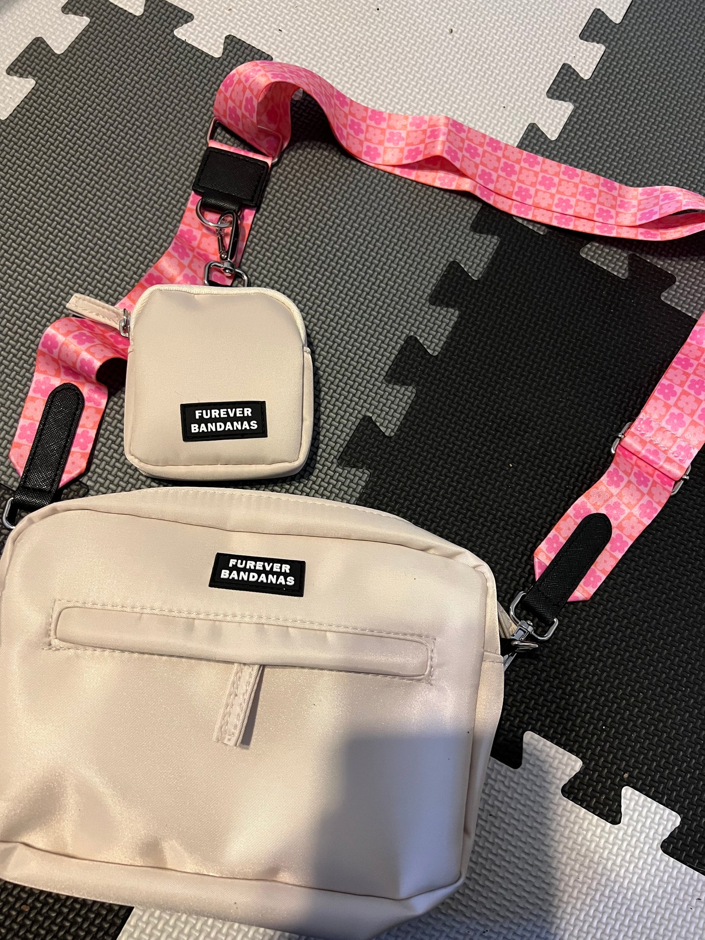 Dog Walking Bag