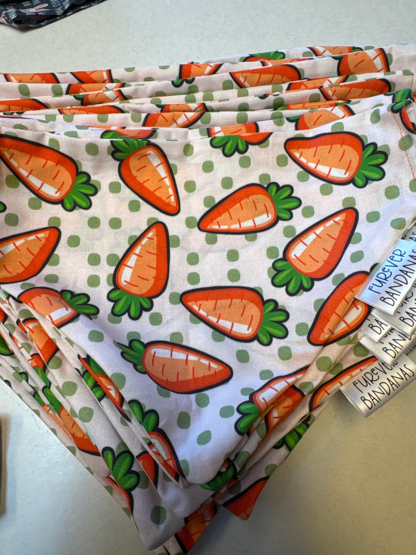 Carrots Bandana