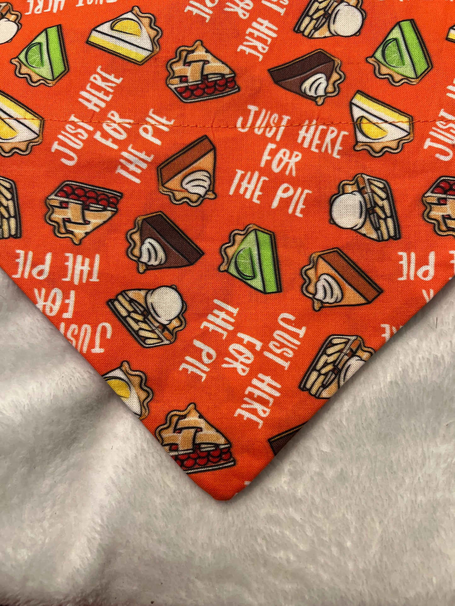 Here for the Pie Bandana