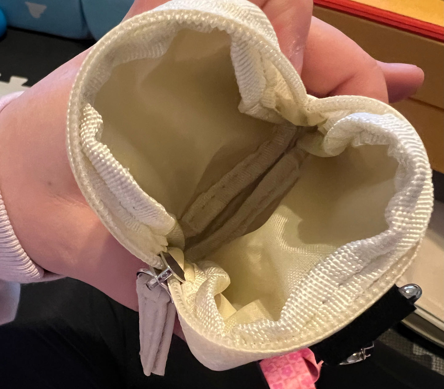 Dog Walking Bag