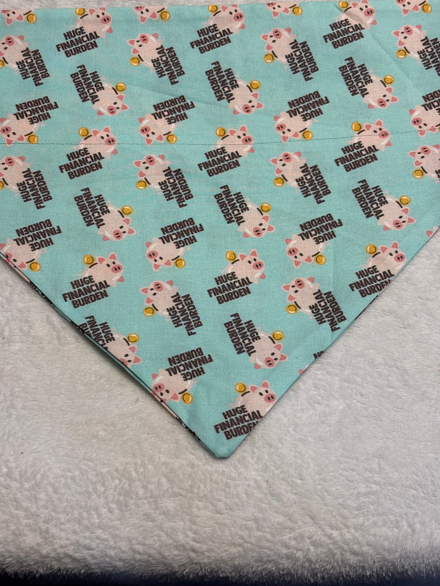 Huge Financial Burden Bandana