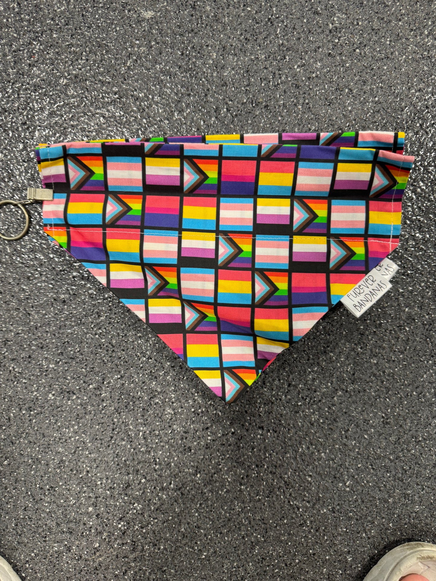 Pride Flags Bandana