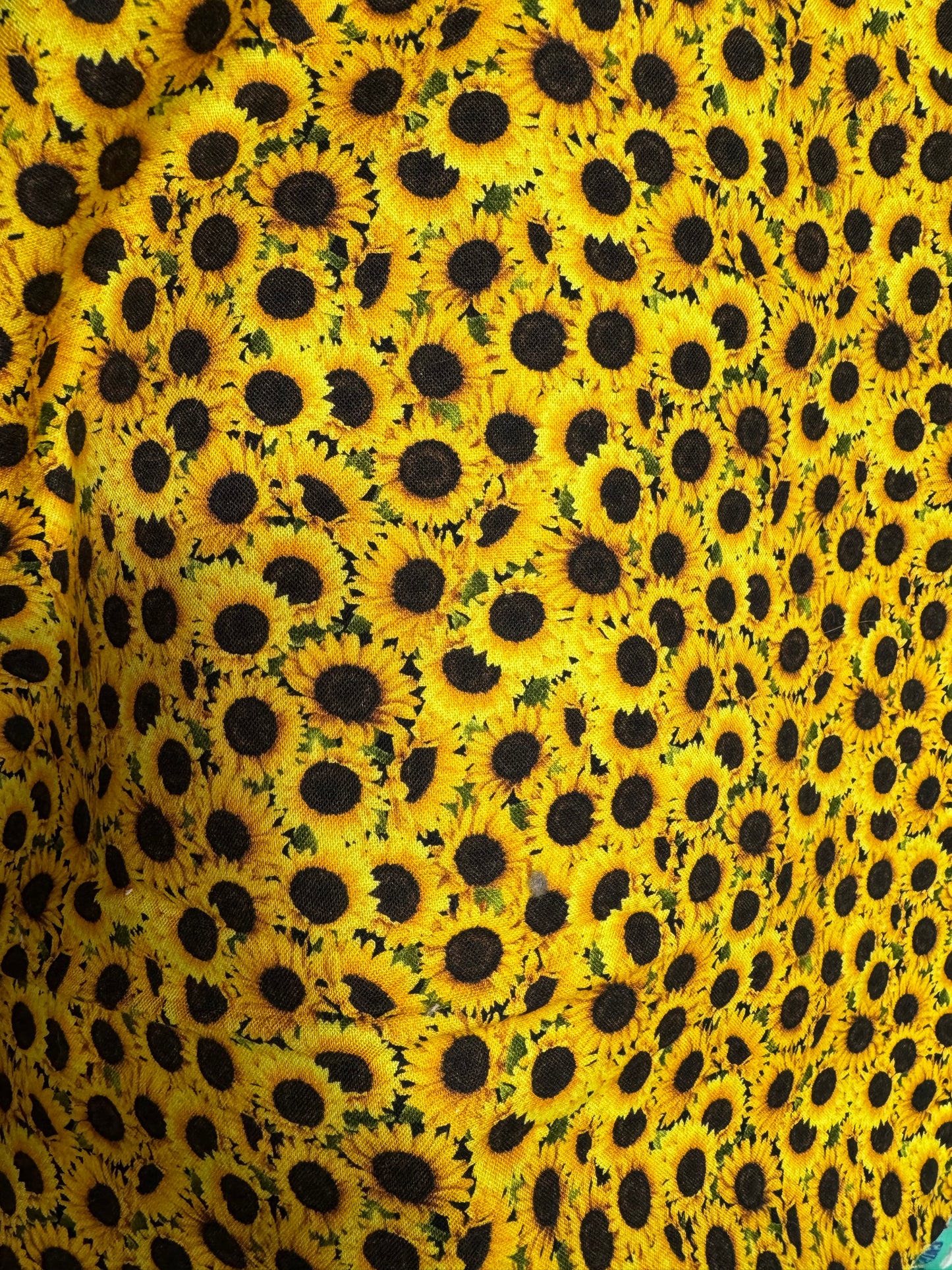 Sunflower Field collar
