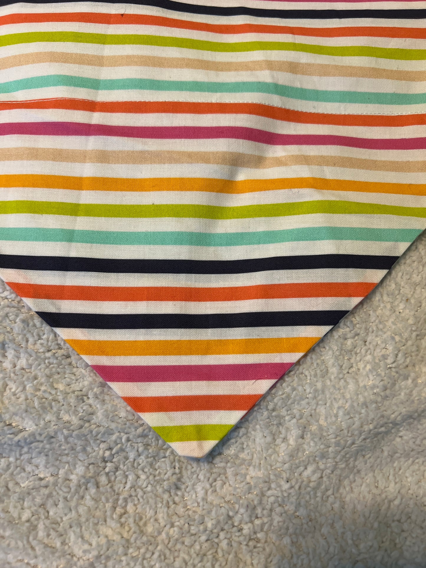 Colorful Stripes Bandana