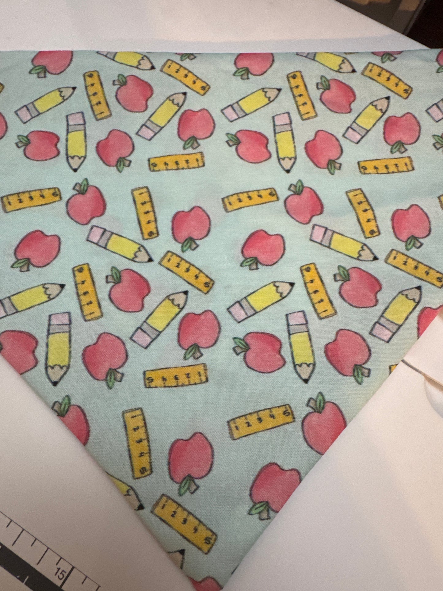 Teacher Bandana