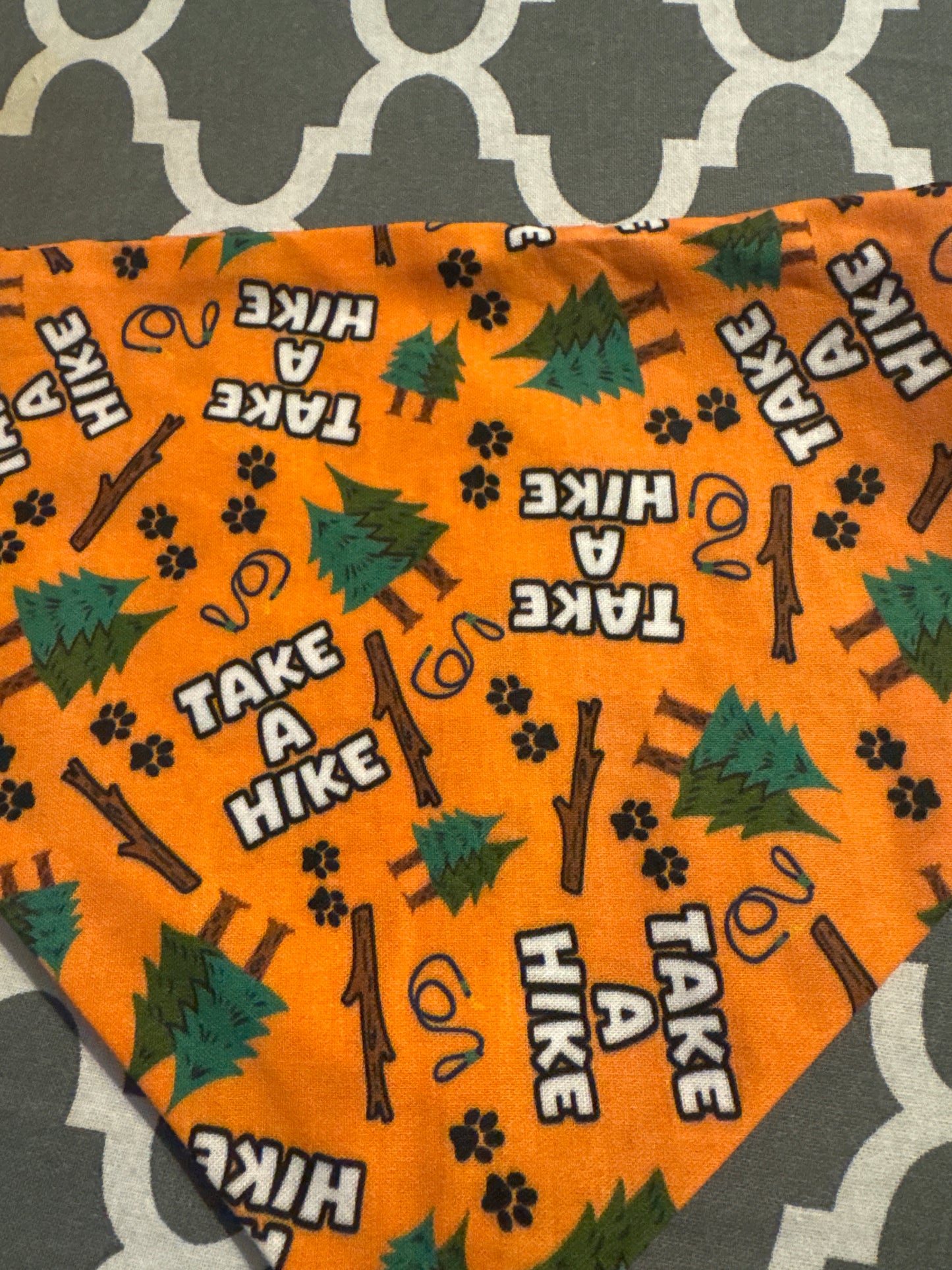 Take A Hike Bandana
