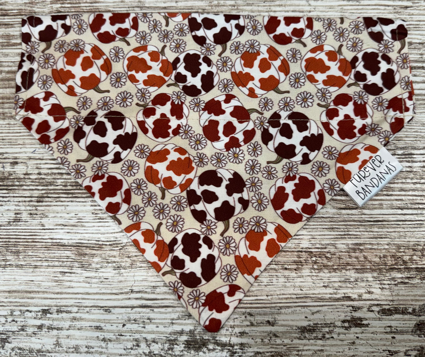 Cow Print Pumpkins Bandana