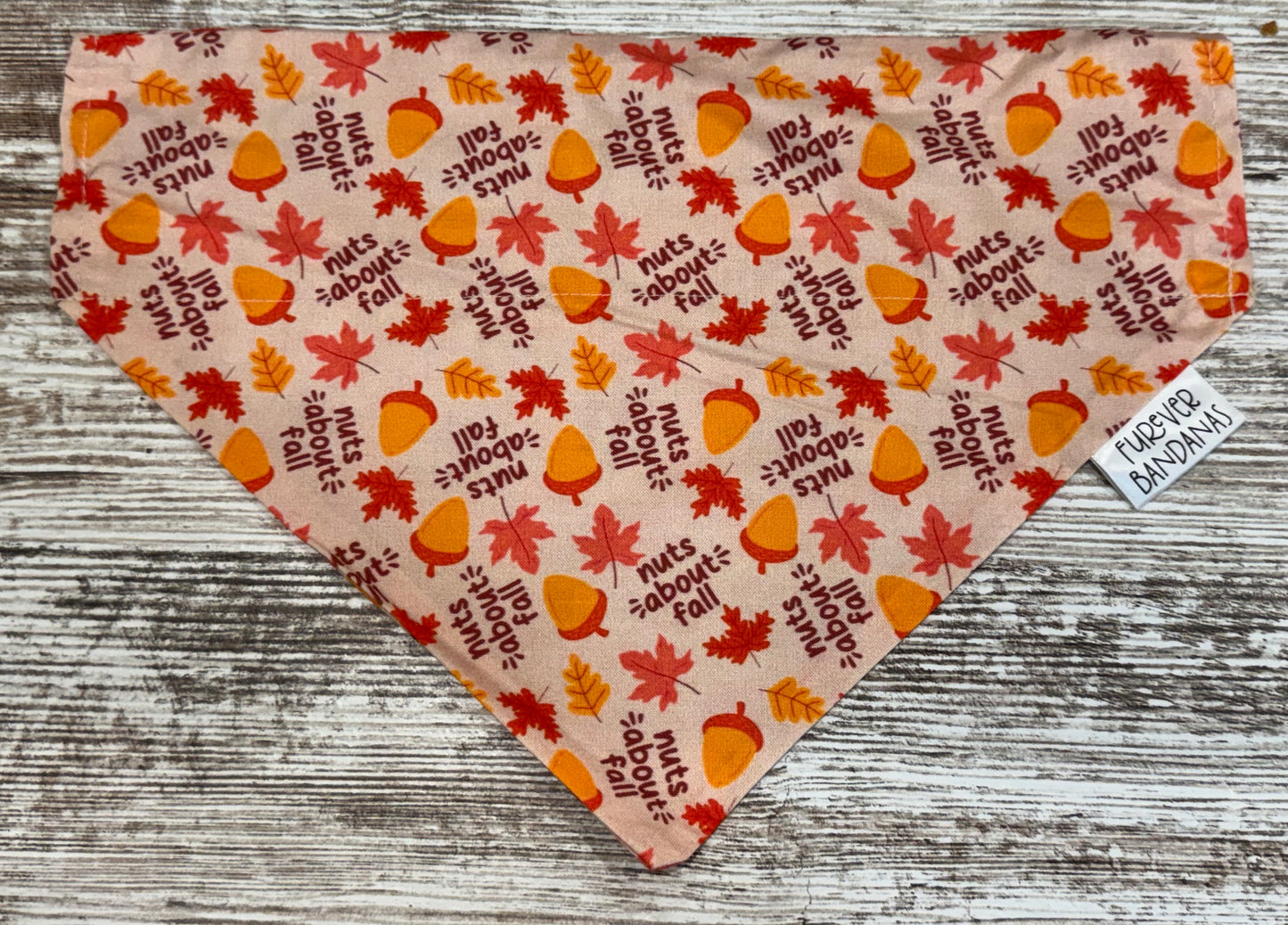 Nuts about fall Bandana