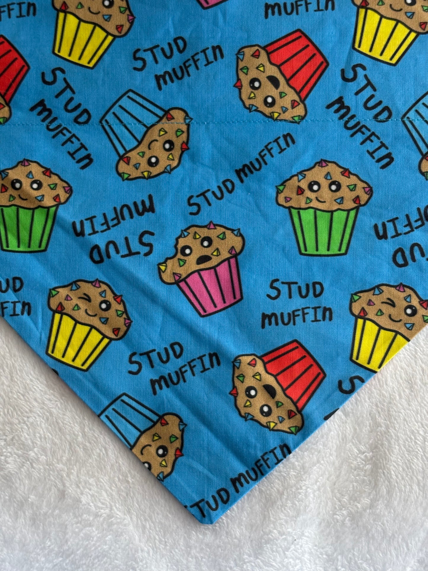 Colorful Stud Muffin Bandana