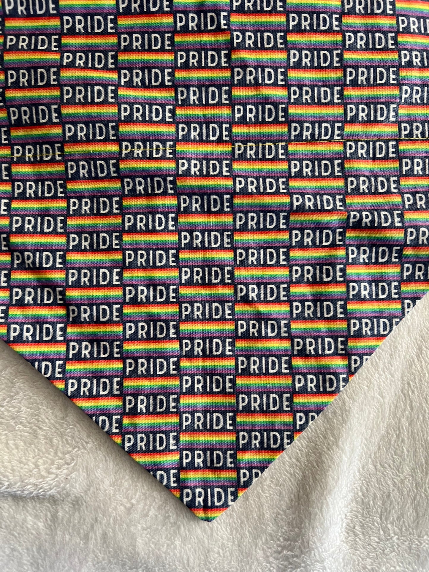 PRIDE Bandana