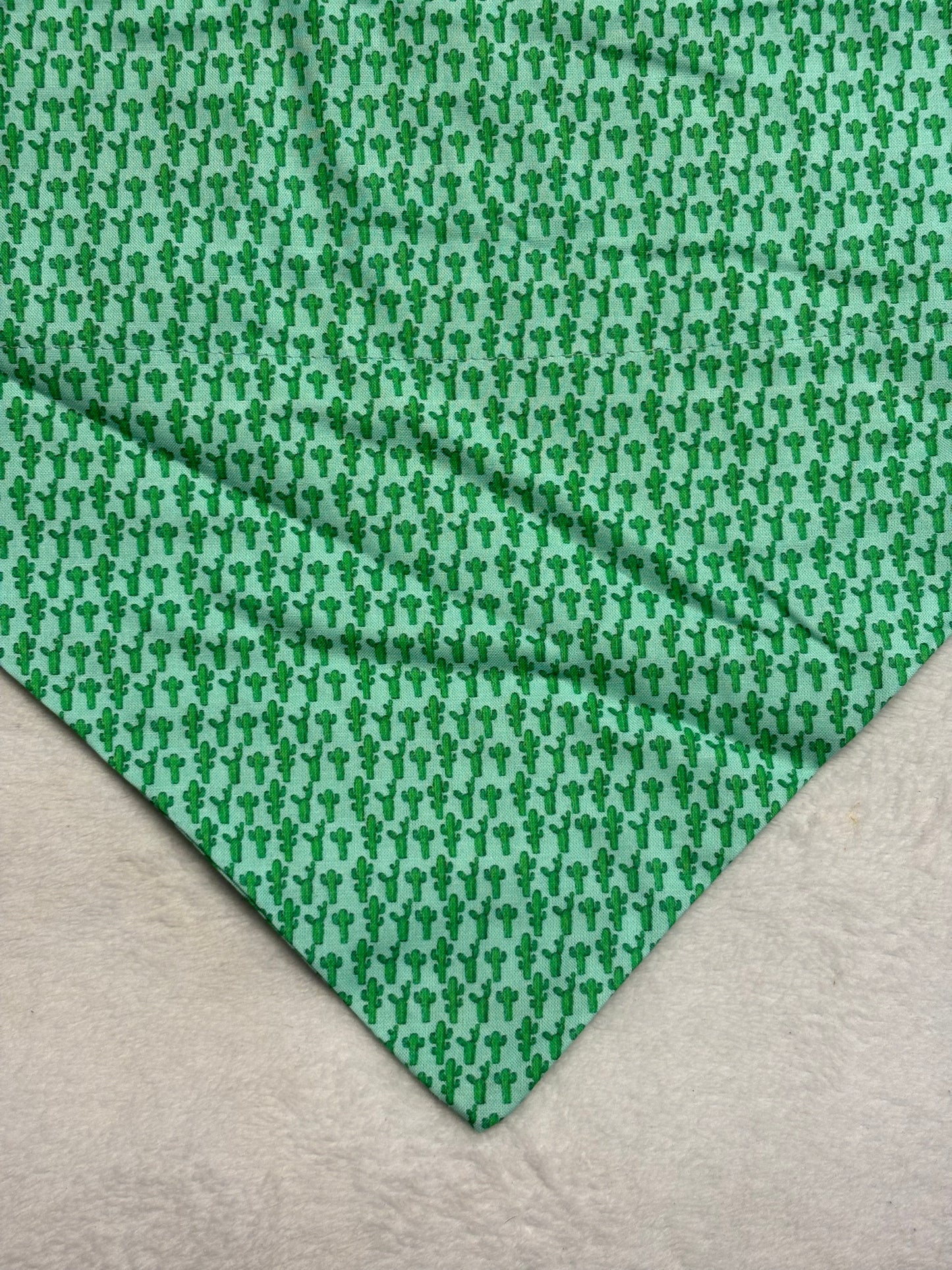 Cacti Bandana