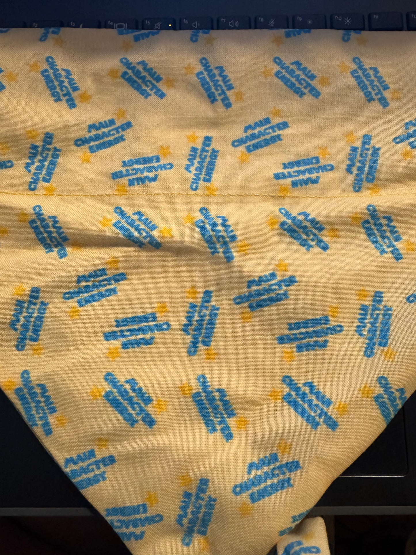 Main Character Energy Bandana