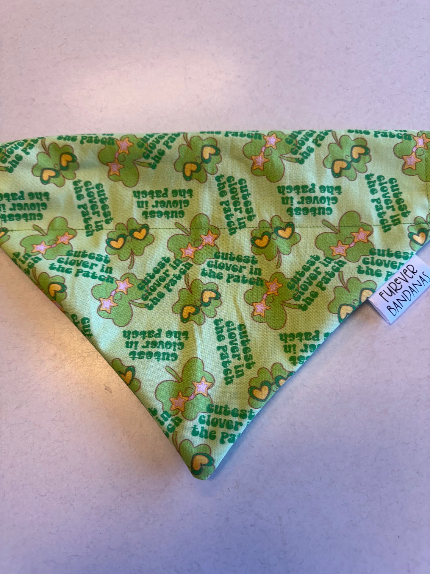 Cutest Clover Bandana