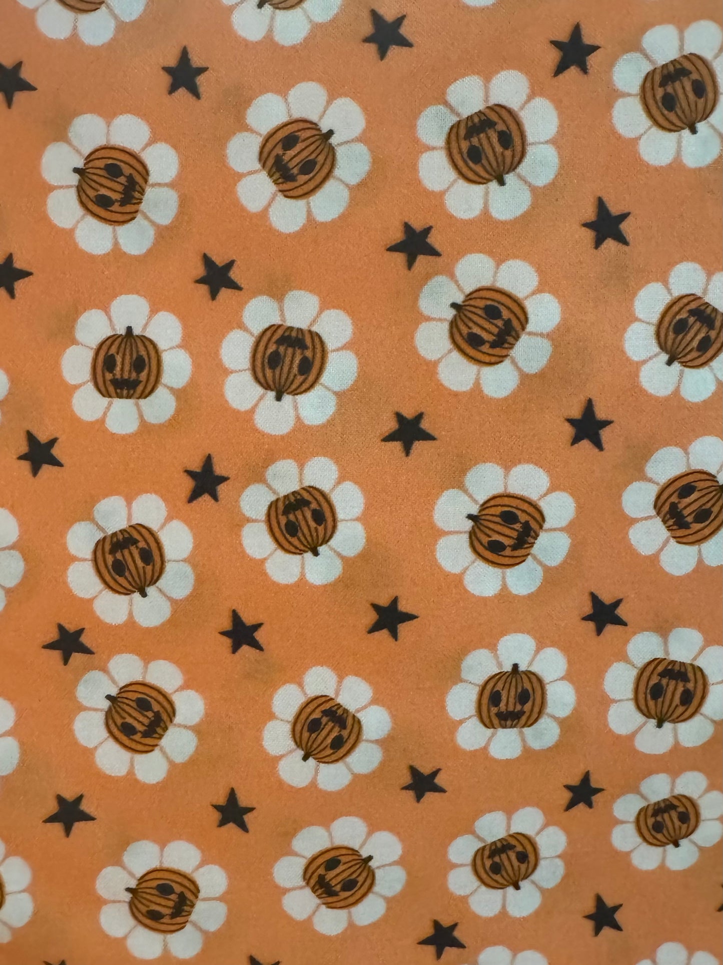 PREORDER Pumpkin Floral Bandana