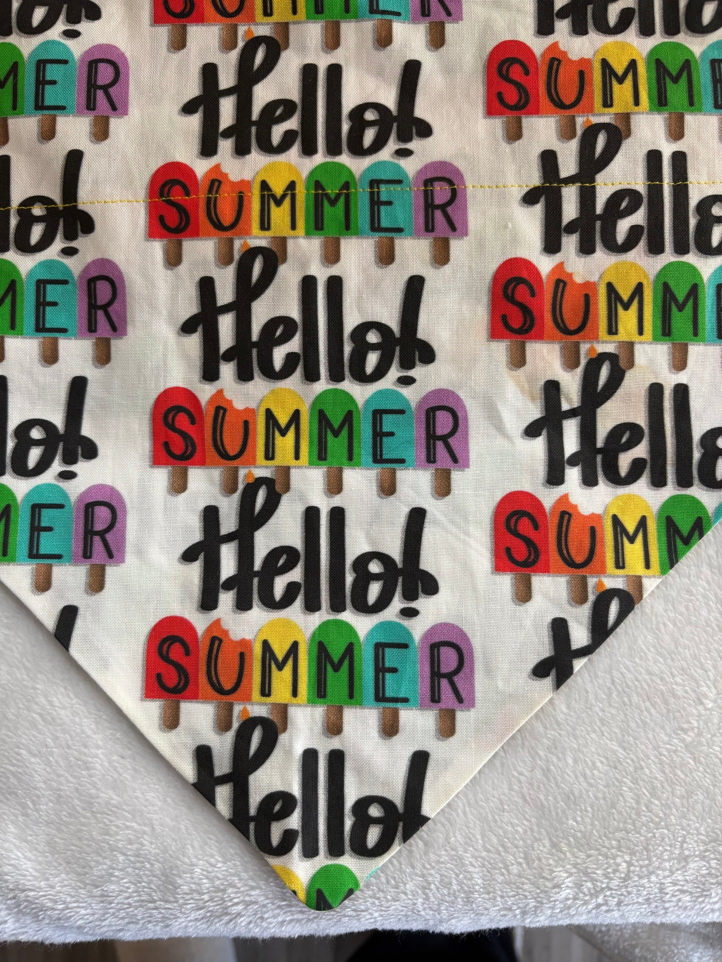 Hello Summer Popsicles