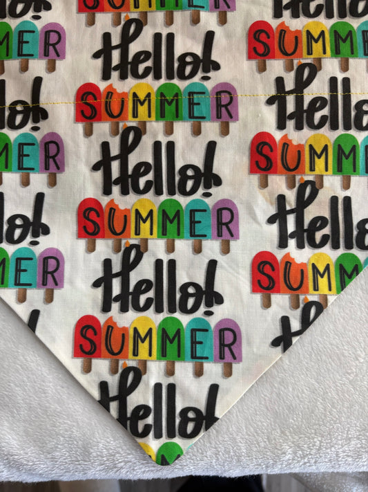 Hello Summer Popsicles
