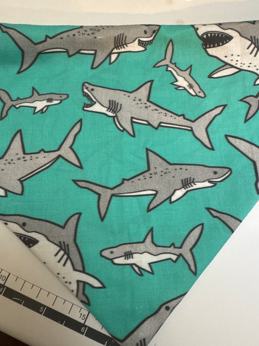 Shark Bandana