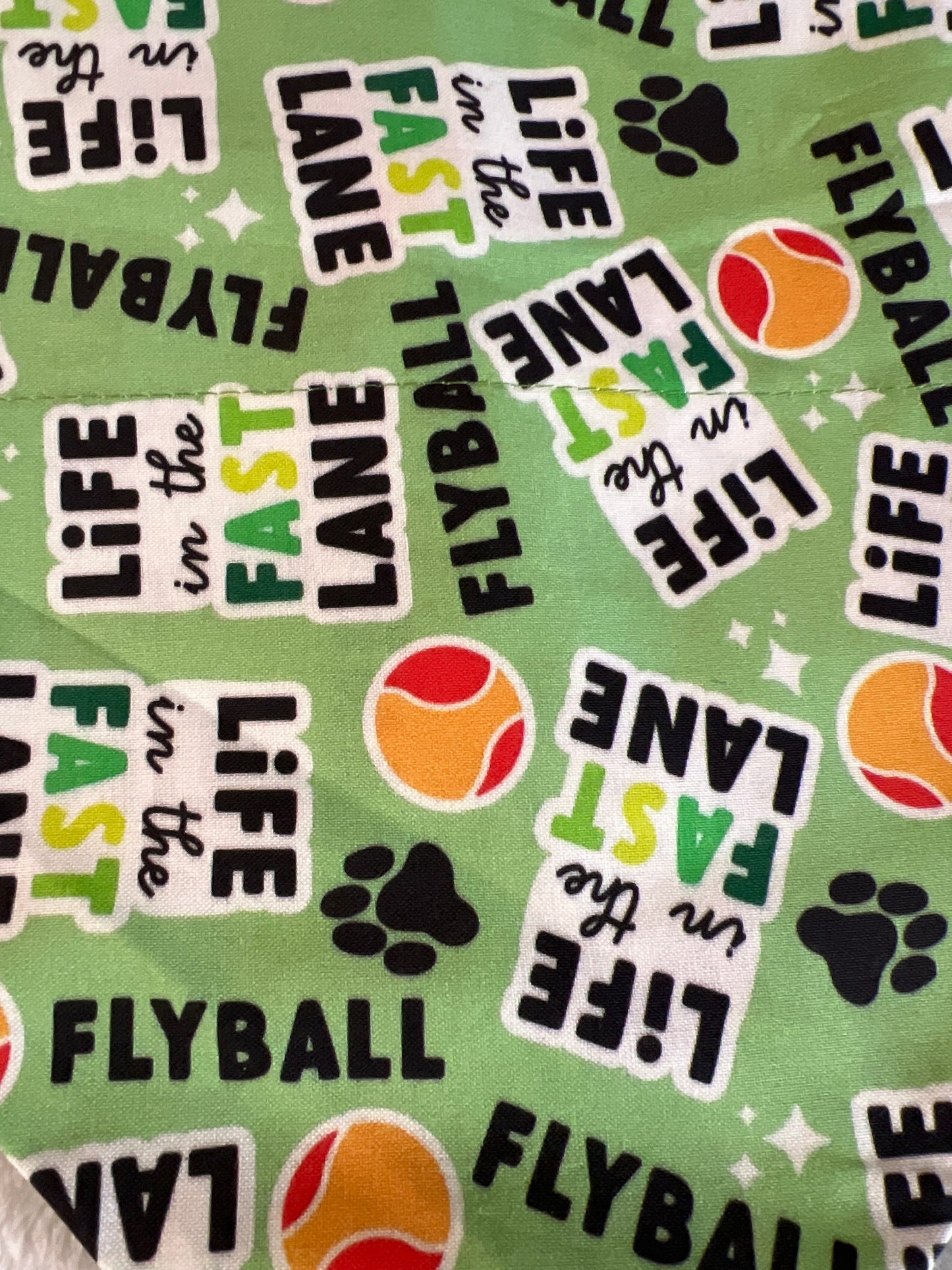 Life In The Fast Lane Bandana