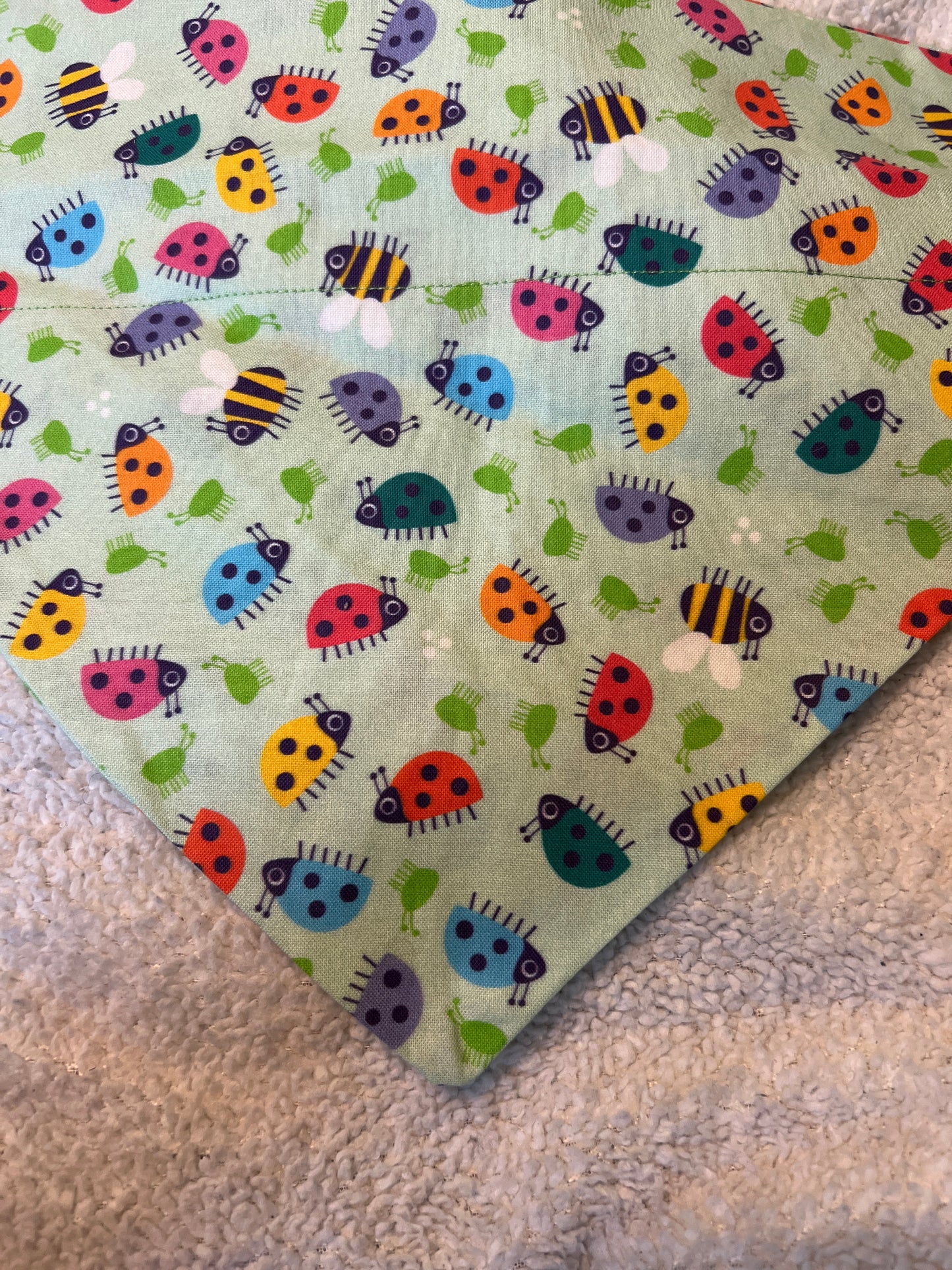 Ladybugs and bees
