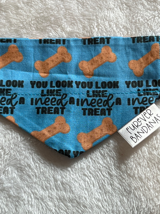 You look like I need a treat bandana