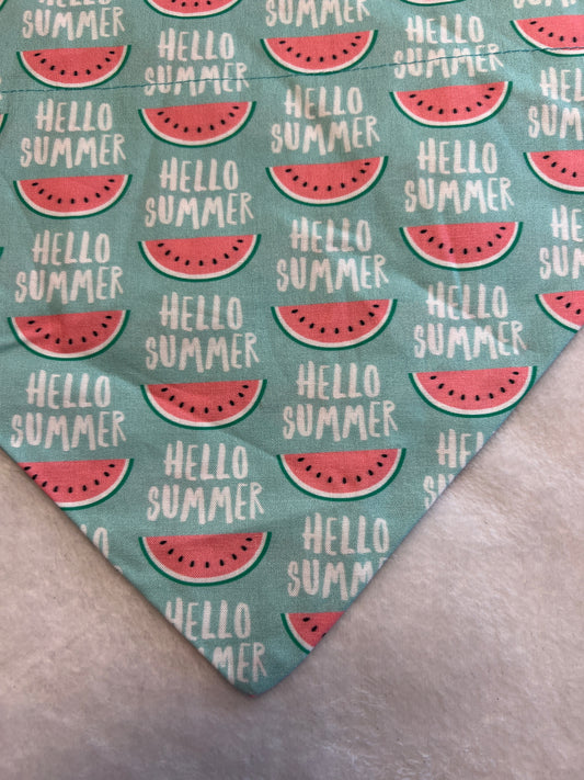 Hello Summer Watermelon Bandana