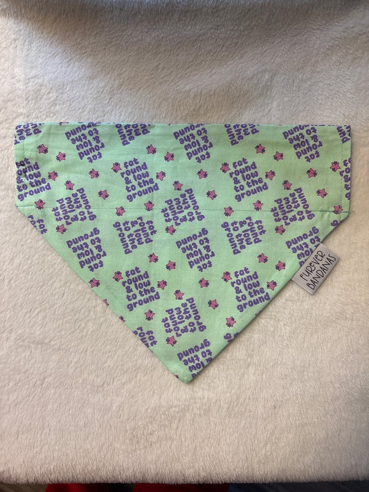 Fat round and low to the ground Bandana