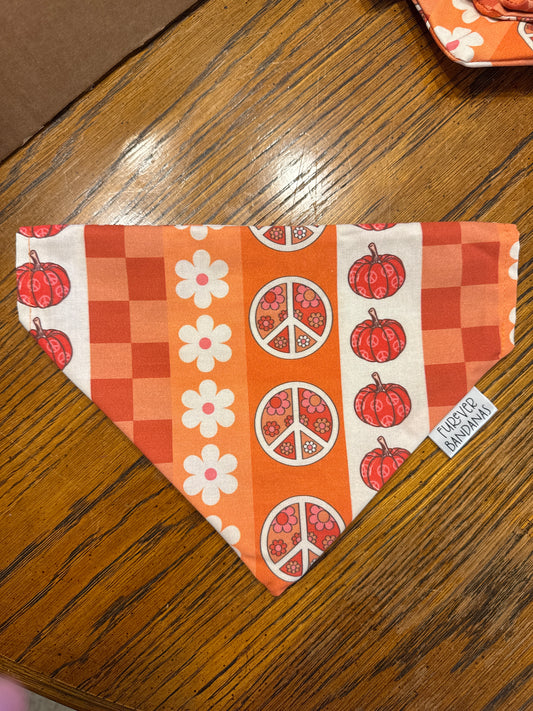 Groovy Fall Bandana