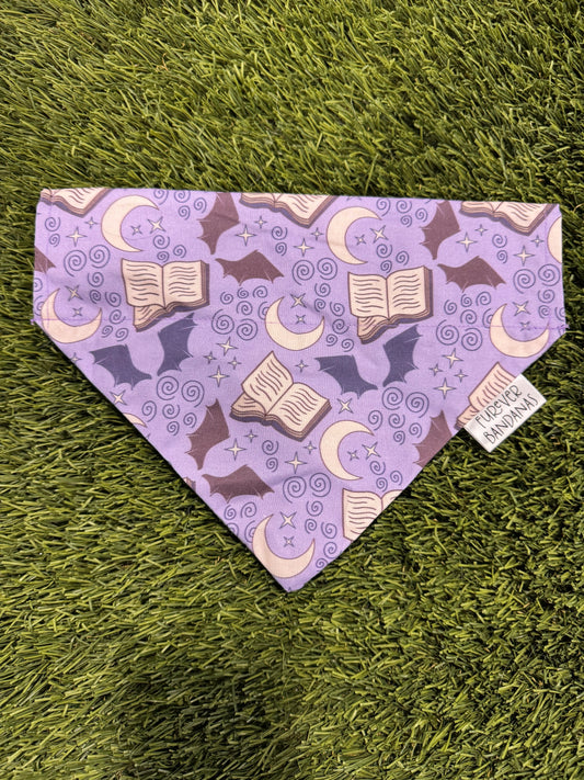 Book Dragons Bandana