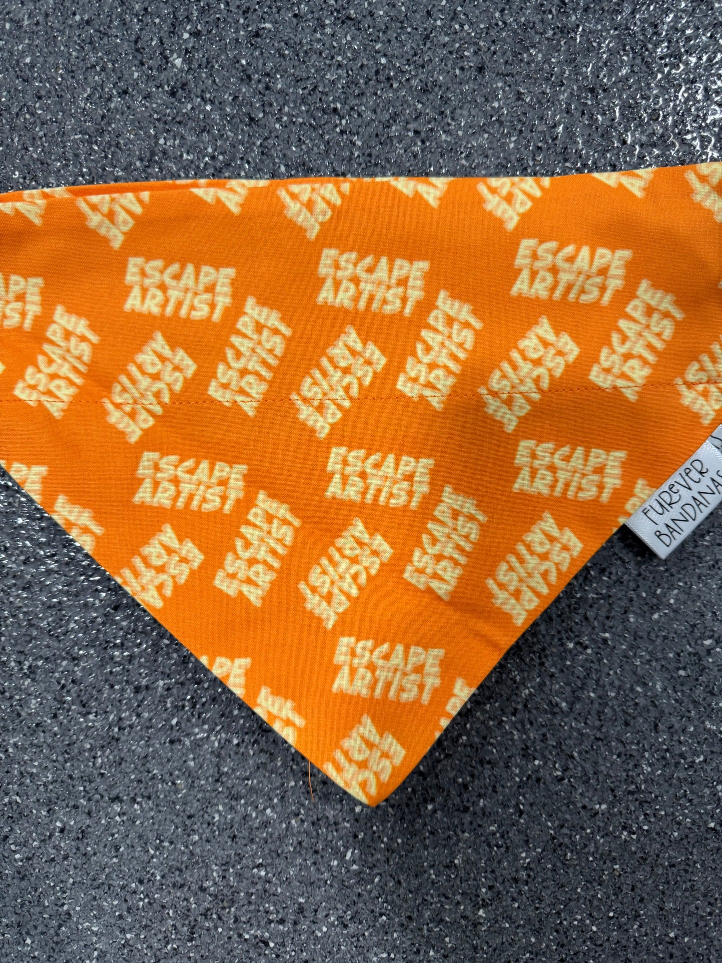 Escape Artist Bandana
