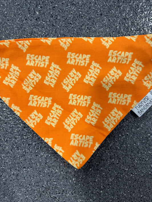 Escape Artist Bandana