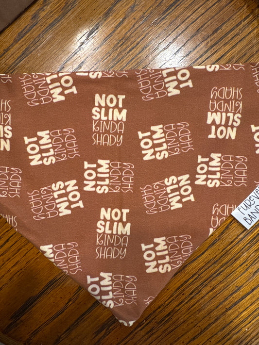 Not Slim Kinda Shady Bandana