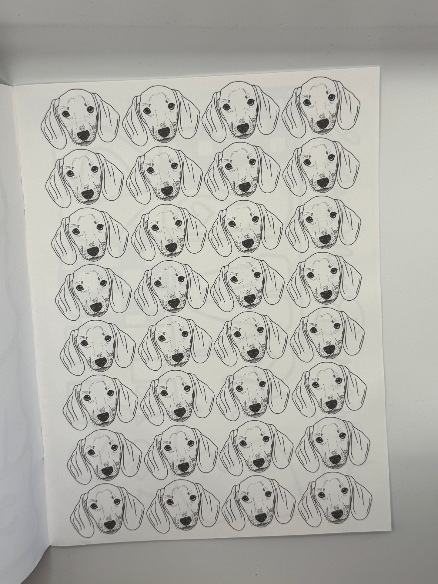 Exclusive Coloring Book
