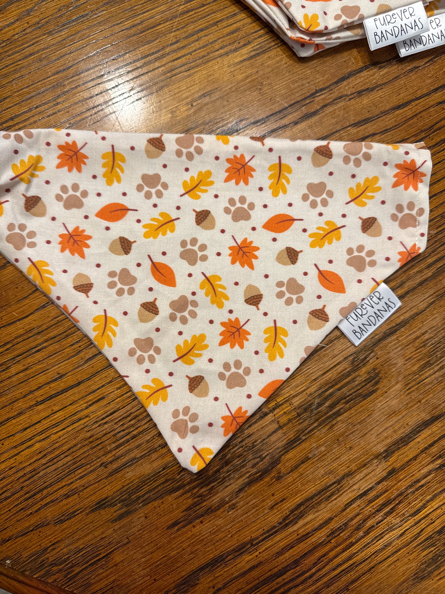 Dog Fall Bandana