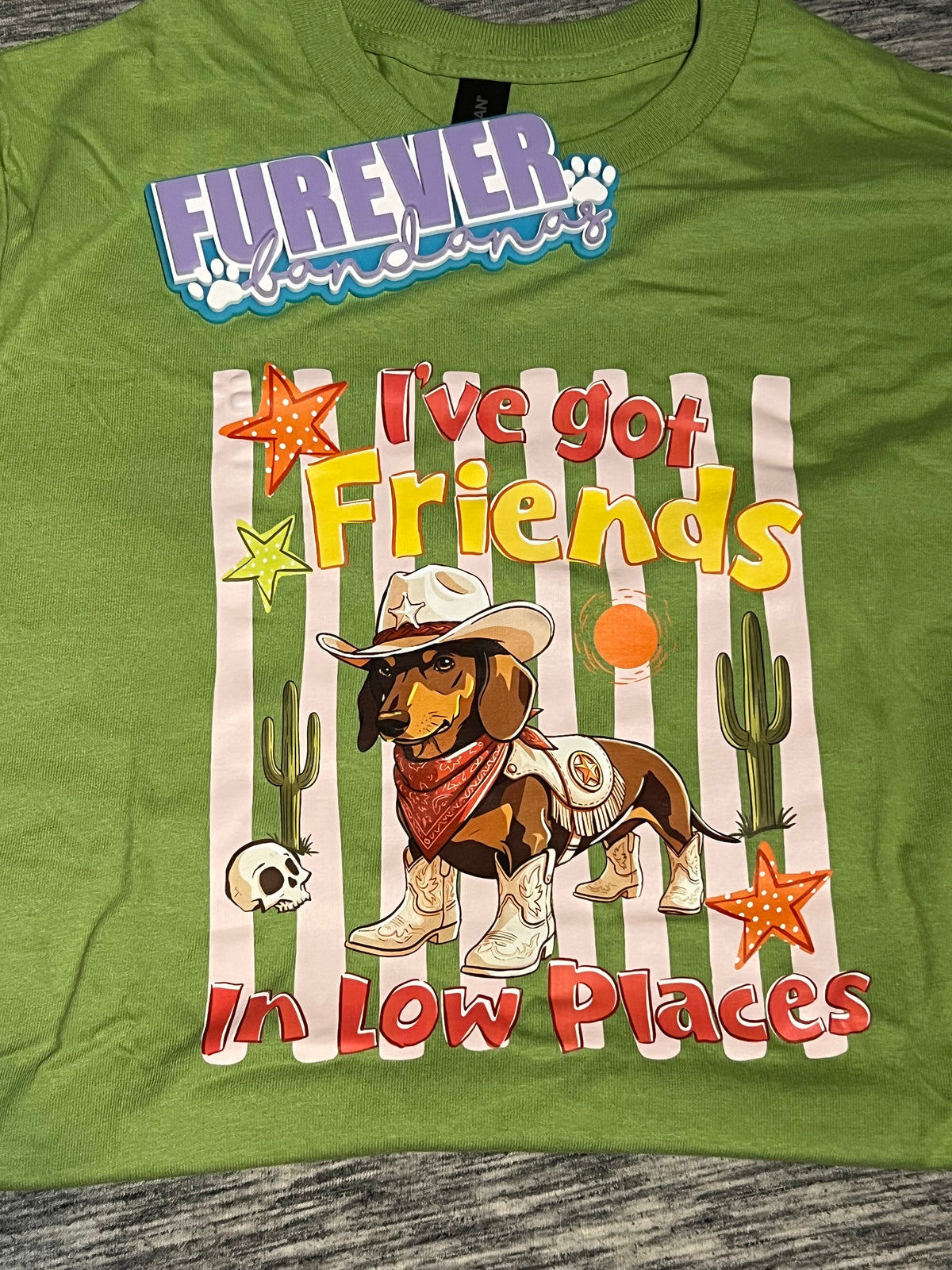 Friends In Low Places T Shirt