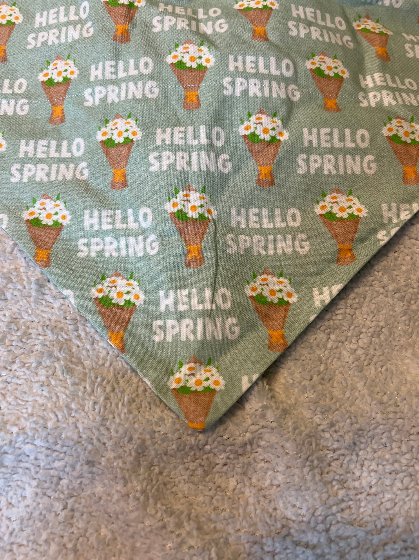 Hello Spring