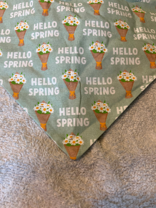 Hello Spring