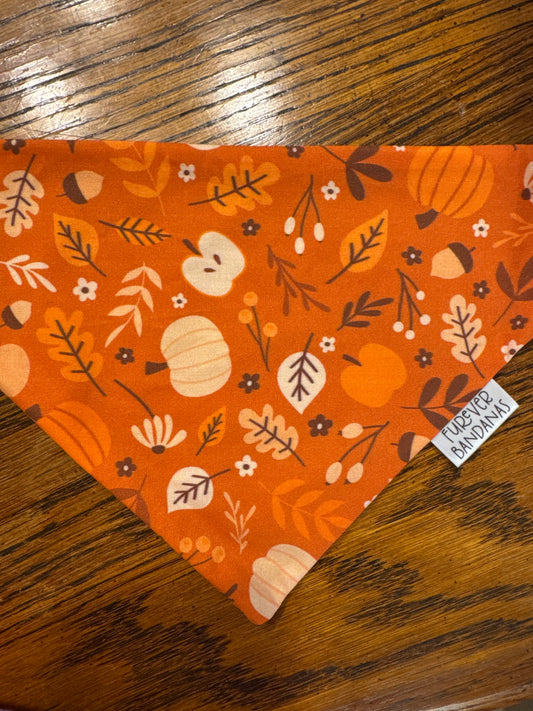 Fall Things Bandana