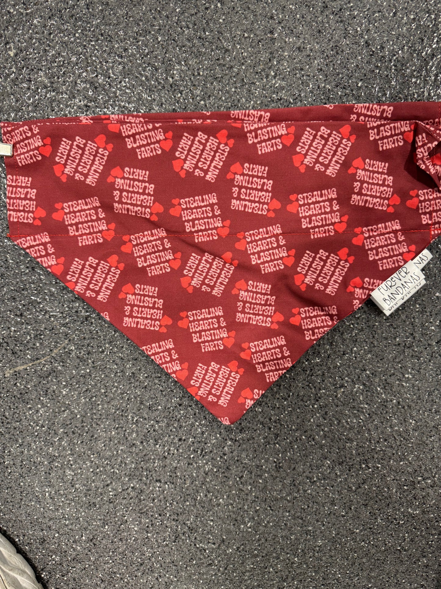 Stealing Hearts Blasting Farts Bandana