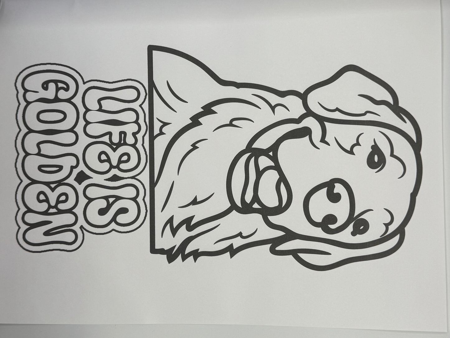 Exclusive Coloring Book