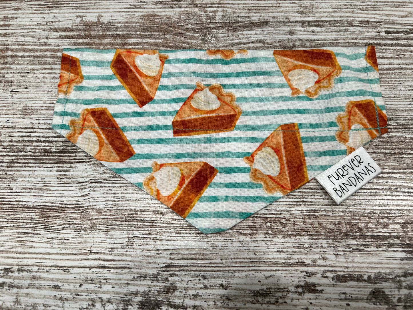 Teal Striped Pie Bandana