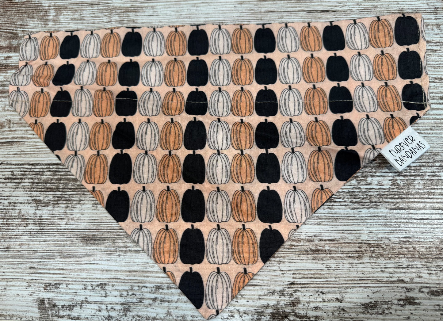 Neutral Pumpkins Bandana