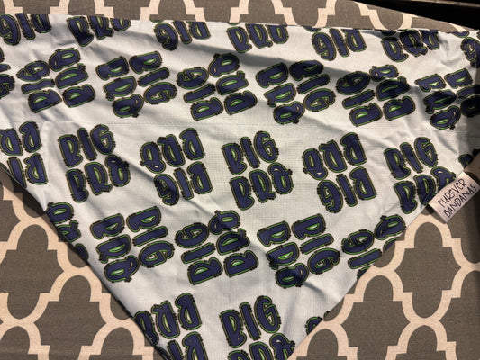 Big Bro Bandana
