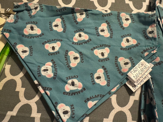 koala Bandana