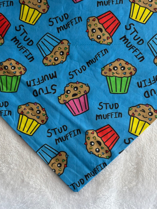 Colorful Stud Muffin Bandana