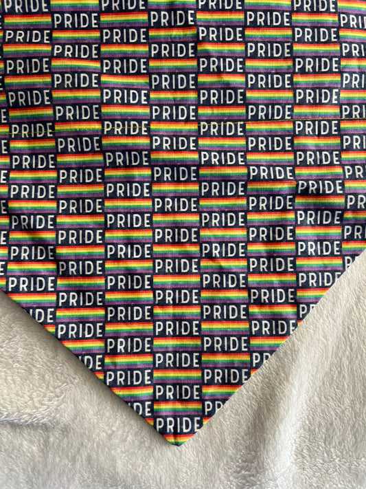 PRIDE Bandana