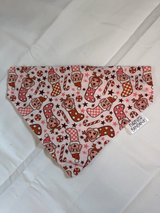 Puppy stocking Bandana